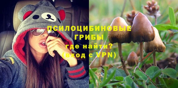 первитин Арсеньев
